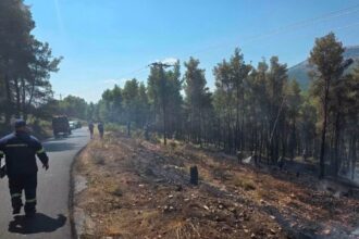 Drones και ετοιμότητα έσωσαν δάσος στα Βίλια 23