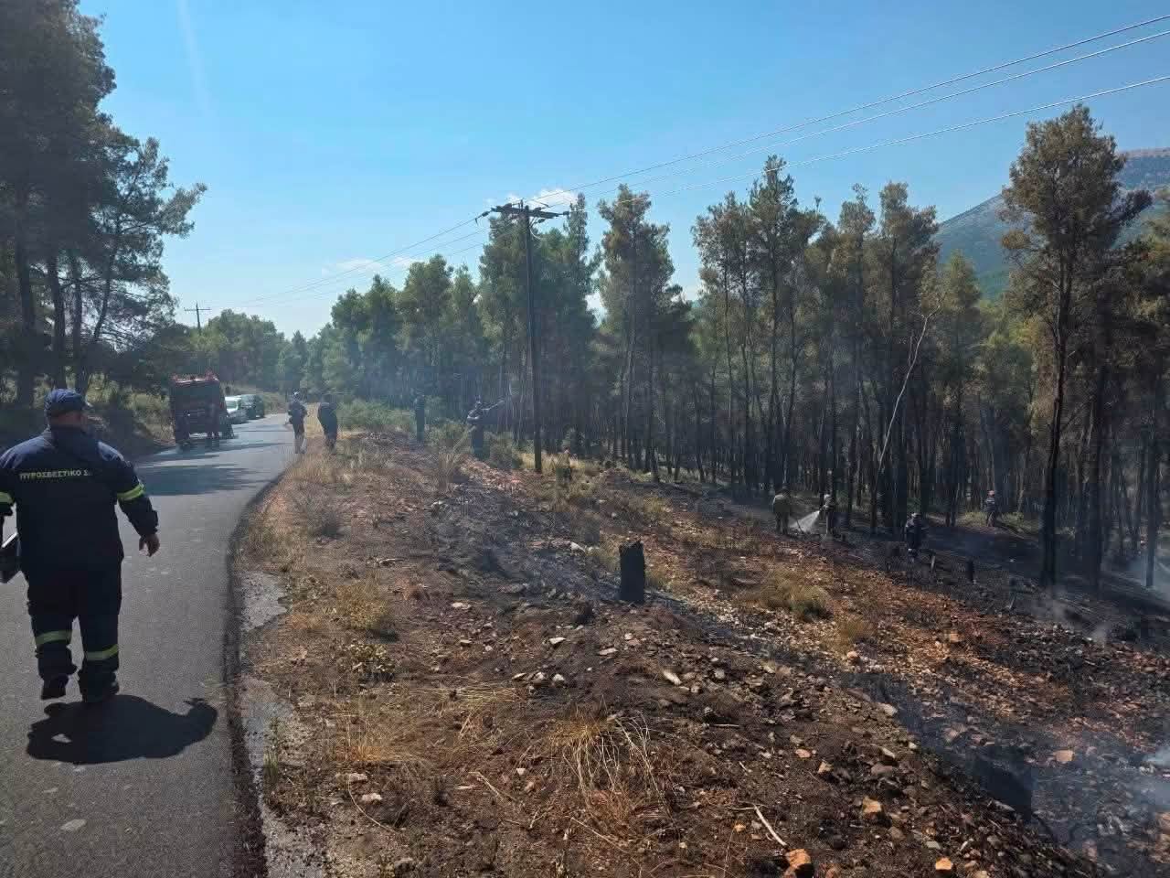 Drones και ετοιμότητα έσωσαν δάσος στα Βίλια 3