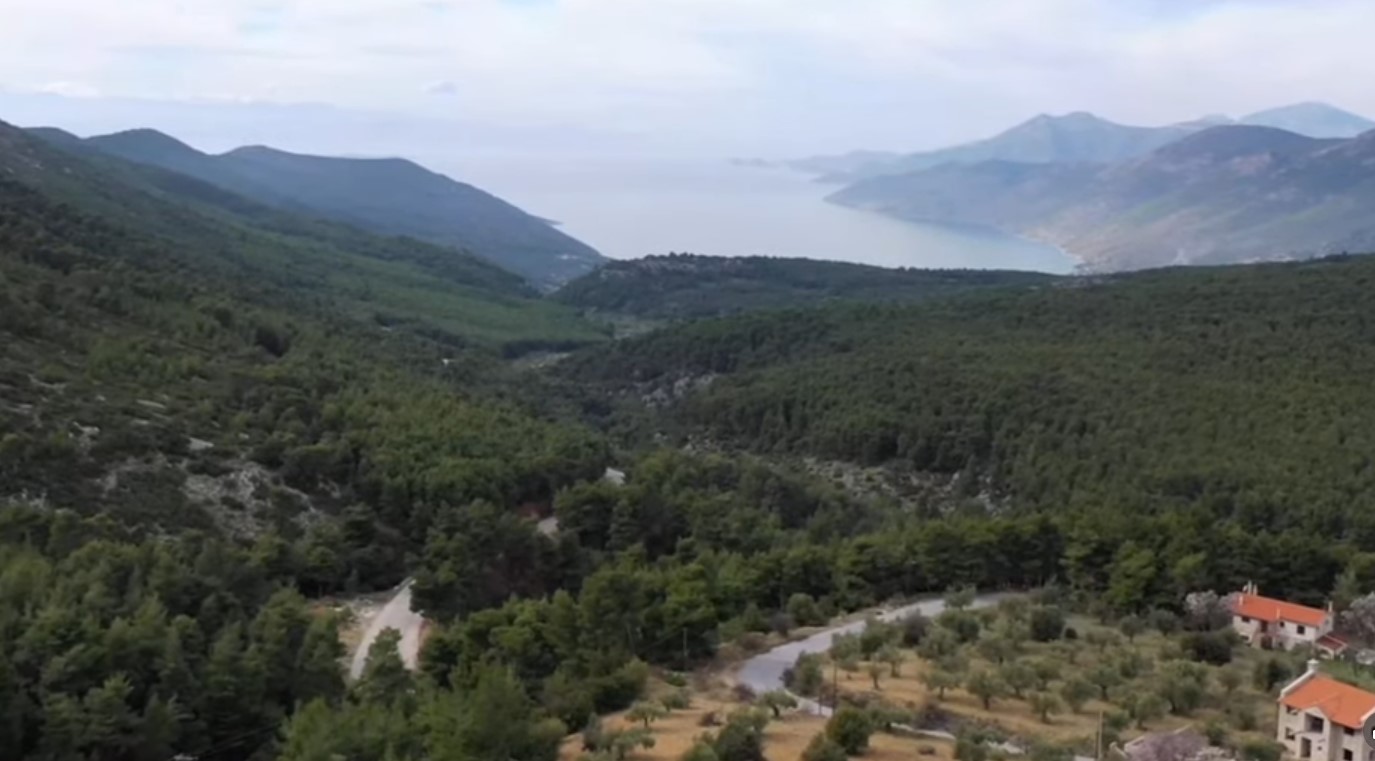 Drones και ετοιμότητα έσωσαν δάσος στα Βίλια 3