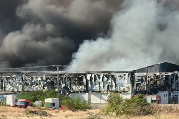 Φωτιά στον Ασπρόπυργο: 11 τραυματίες, 3 στην εντατική - Οι φλόγες σε διπλανές επιχειρήσεις 99