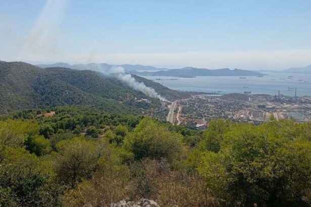 Σήμα 112 για τη φωτιά στο Ποικίλο και μεγάλη κινητοποίηση - Έχει μπει στο βουνό 99