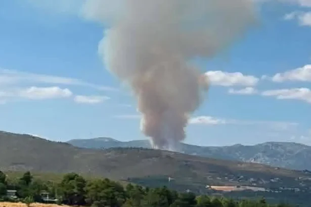 Μεγάλη πυρκαγιά στην Οινόη της Μάνδρας - Κατευθύνεται προς το Καραούλι 97