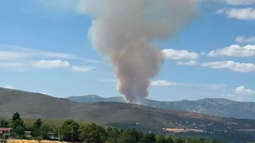 Μεγάλη πυρκαγιά στην Οινόη της Μάνδρας - Κατευθύνεται προς το Καραούλι 15