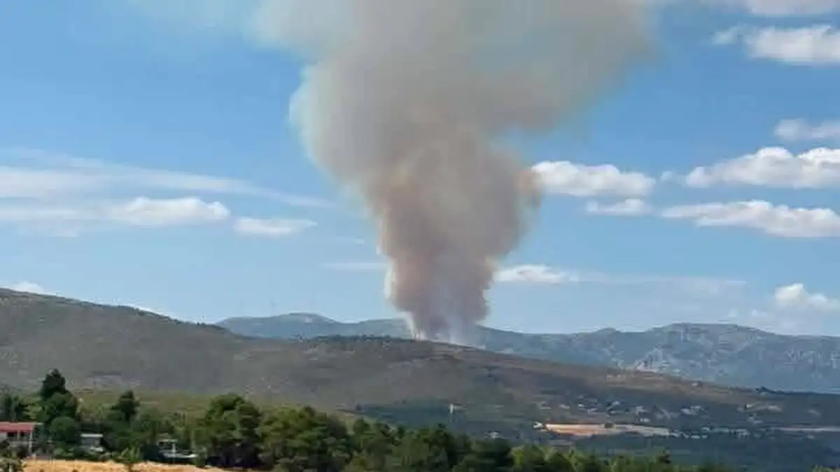 Μεγάλη πυρκαγιά στην Οινόη της Μάνδρας - Κατευθύνεται προς το Καραούλι 3