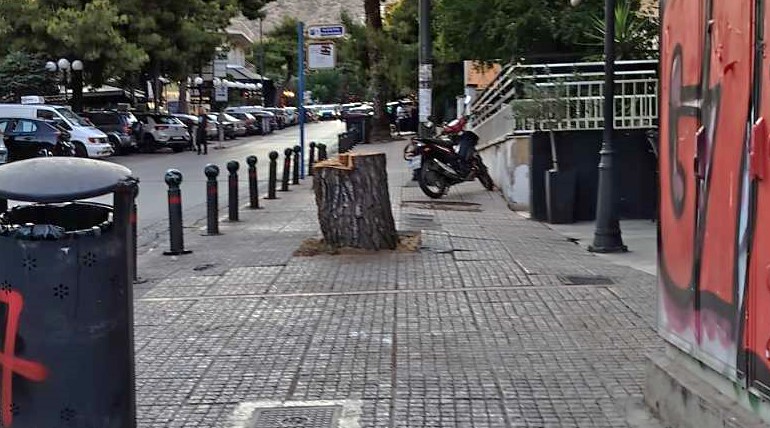 Με αφορμή την κοπή δένδρου στη συμβολή Γ. Παπανδρέου και Κ. Παλαμά 1