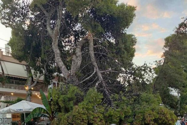 Τη γλίτωσε στον... πόντο! 7