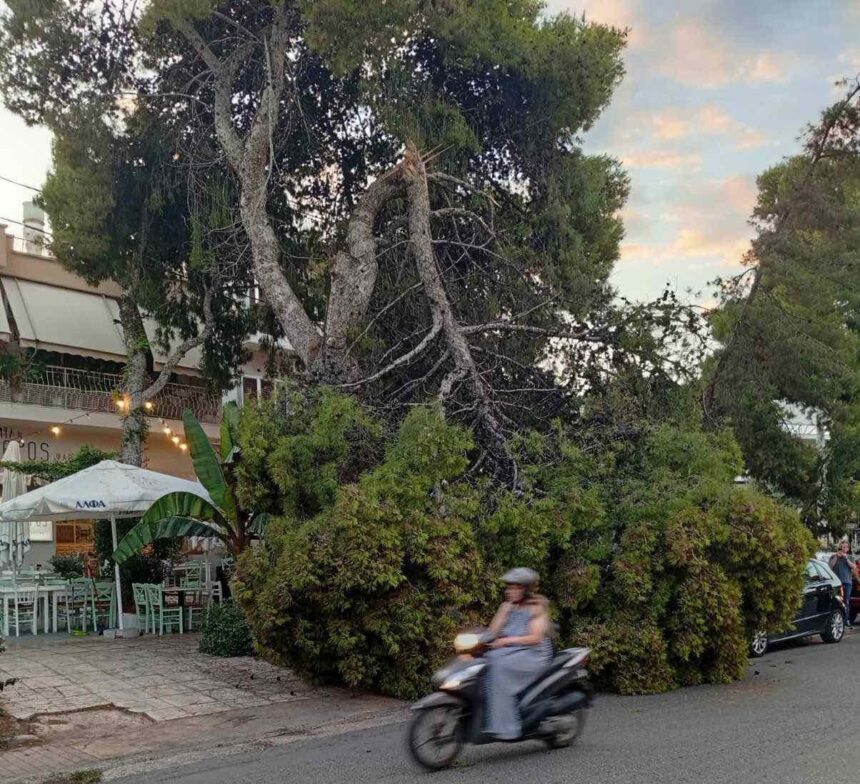 Τη γλίτωσε στον... πόντο! 1