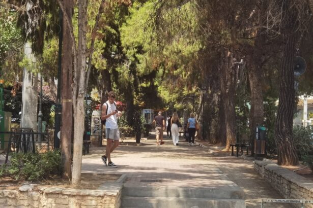 Χαϊδάρι: "Ευχαριστώ τον ήρωα που έσωσε το παιδί μου παιδί μου στο δρόμο" 97