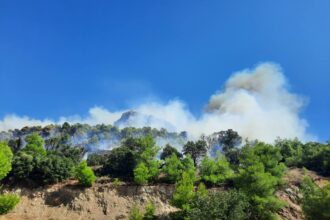 Μάχη να σταματήσει η φωτιά πριν κατεβεί στην ανατολική πλαγιά στο Χαϊδάρι 27