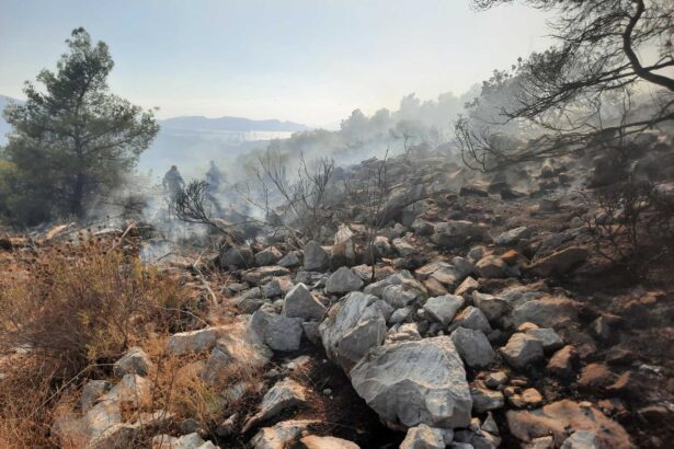 Σε ύφεση η πυρκαγιά, ο "στρατηγός άνεμος" λυπήθηκε το Χαϊδάρι 99
