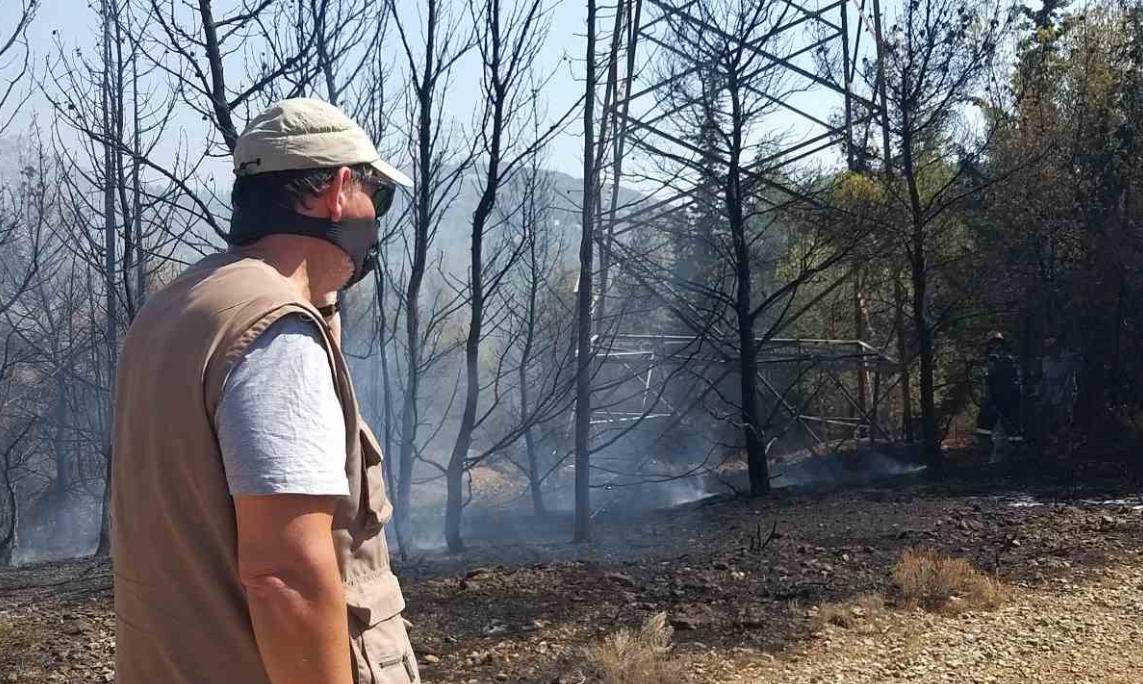 Σύλληψη 54χρονου για φωτιά στον Διομήδειο Κήπο - Τι συνέβη 4 Σύλληψη 54χρονου για φωτιά στον Διομήδειο Κήπο - Τι συνέβη 3