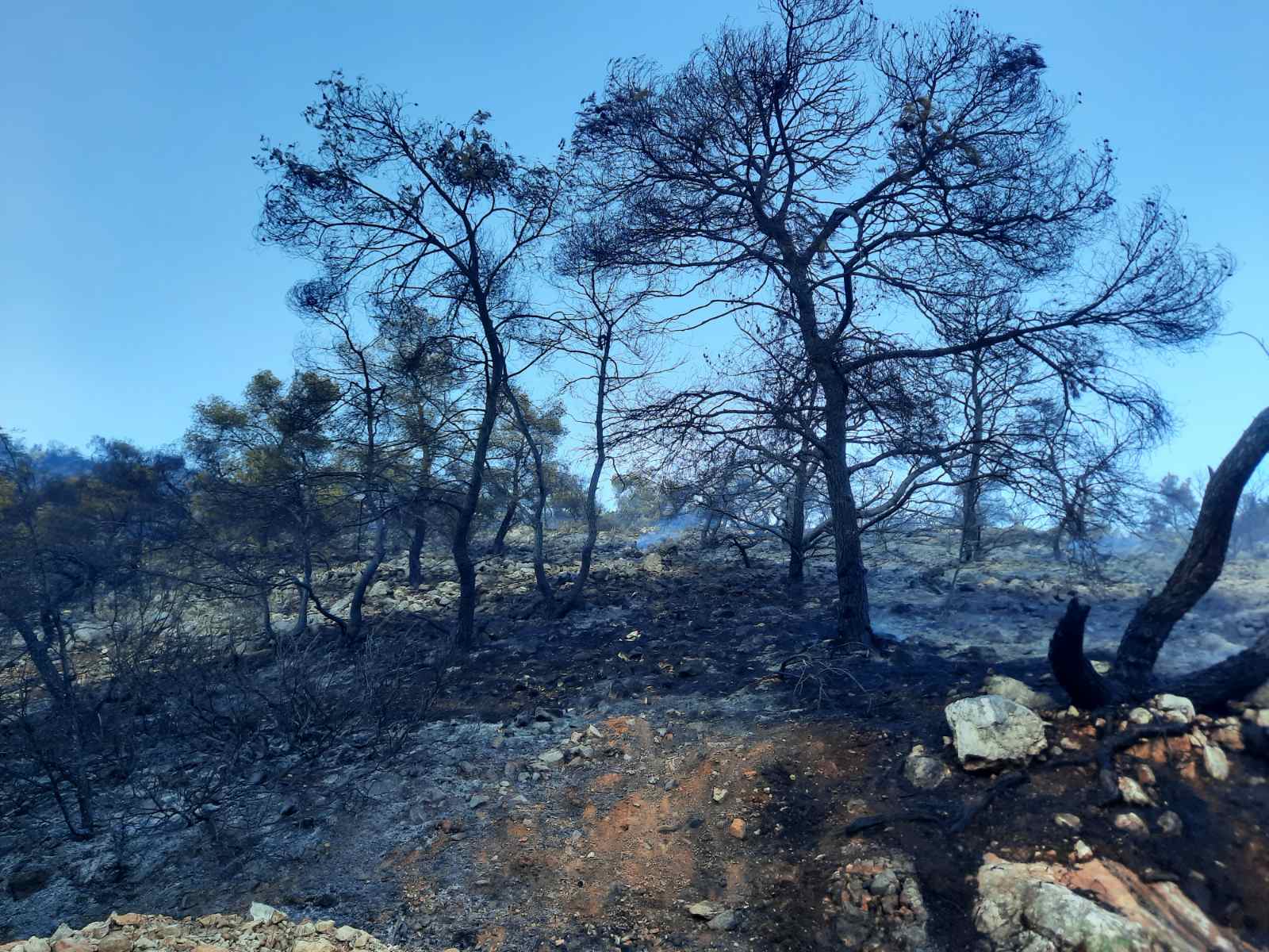 Το Ποικίλο που αγαπήσαμε... - Βίντεο και φωτογραφίες 16 Το Ποικίλο που αγαπήσαμε... - Βίντεο και φωτογραφίες 15