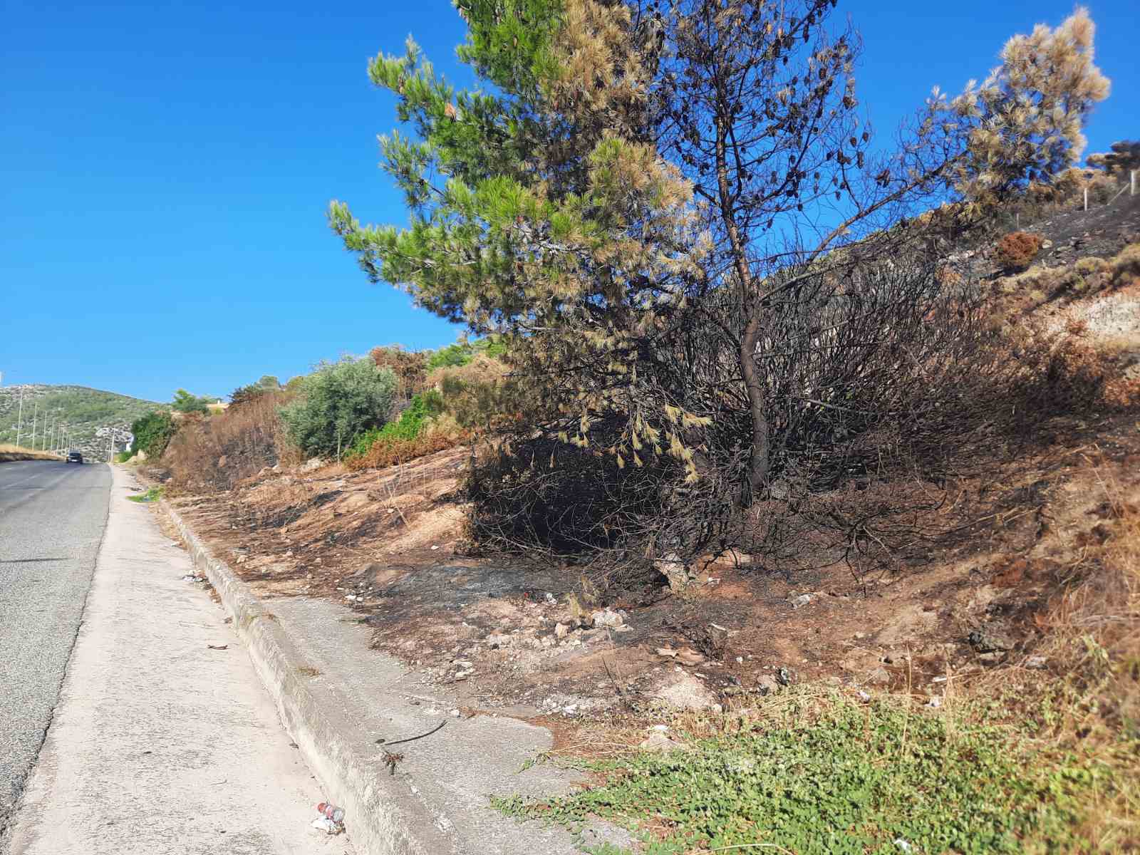 Η Πυροσβεστική εντόπισε την αιτία της καταστροφικής φωτιάς στο Ποικίλο 4 Η Πυροσβεστική εντόπισε την αιτία της καταστροφικής φωτιάς στο Ποικίλο 3