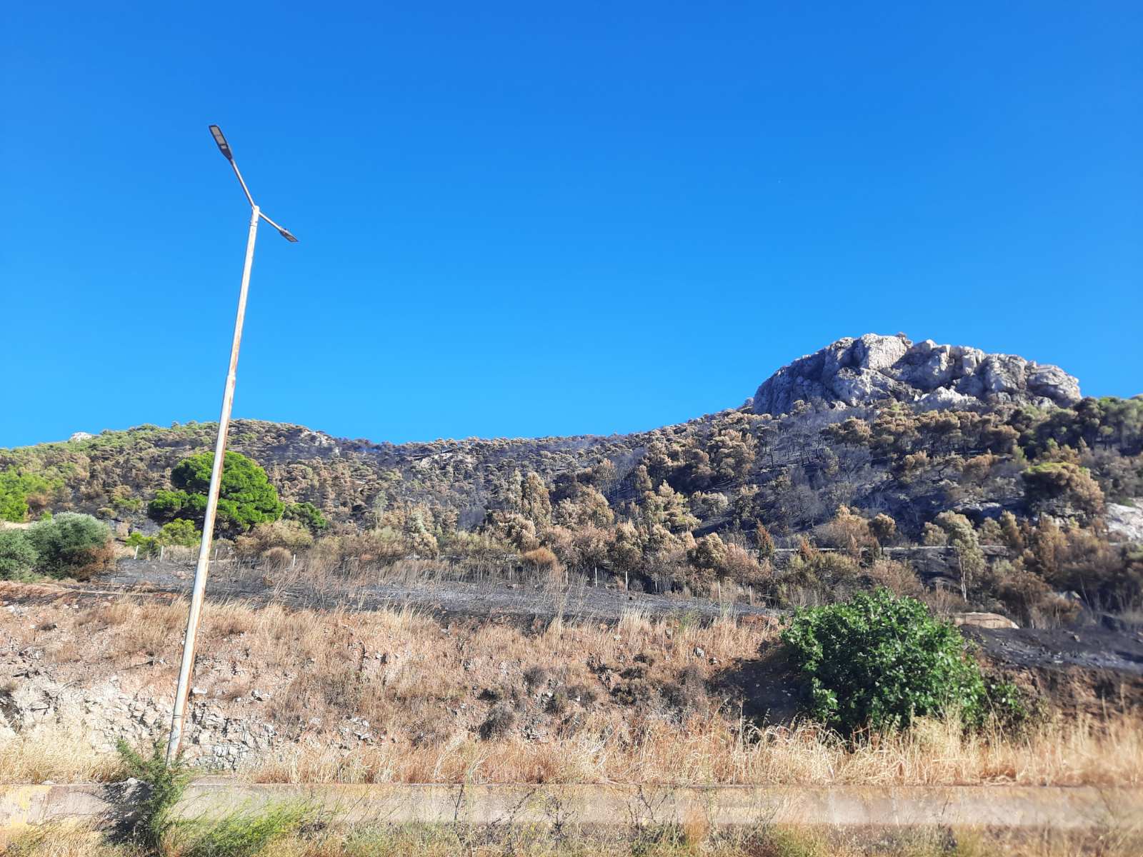 Οδοιπορικό στο Ποικίλο: Μεγάλη ζημιά... αλλά τη γλιτώσαμε! - Φωτογραφίες και βίντεο 6 Οδοιπορικό στο Ποικίλο: Μεγάλη ζημιά... αλλά τη γλιτώσαμε! - Φωτογραφίες και βίντεο 5