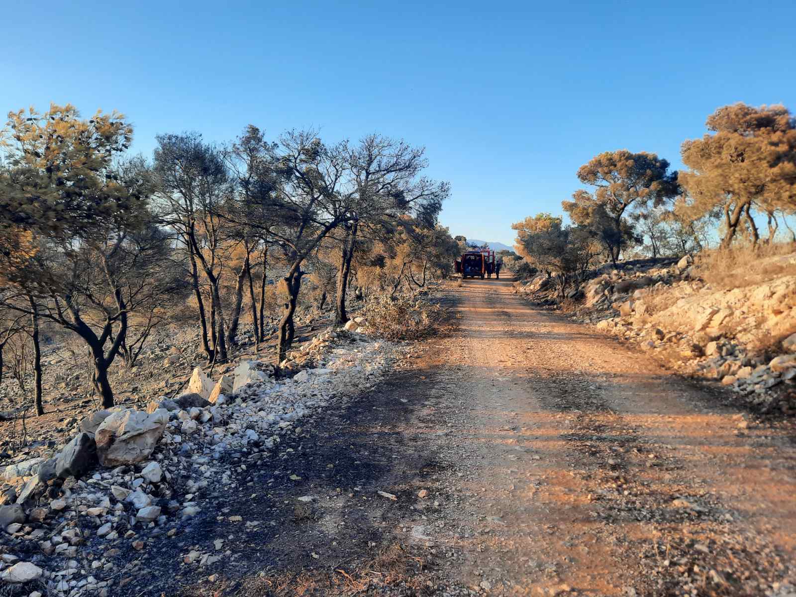 Οδοιπορικό στο Ποικίλο: Μεγάλη ζημιά... αλλά τη γλιτώσαμε! - Φωτογραφίες και βίντεο 8 Οδοιπορικό στο Ποικίλο: Μεγάλη ζημιά... αλλά τη γλιτώσαμε! - Φωτογραφίες και βίντεο 7