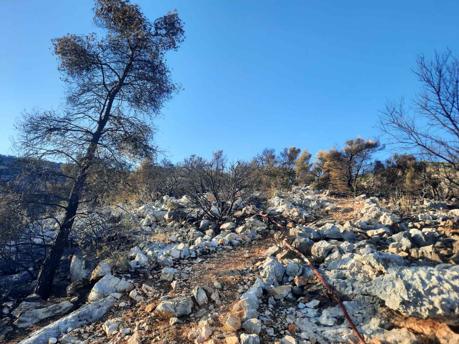 Οδοιπορικό στο Ποικίλο: Μεγάλη ζημιά... αλλά τη γλιτώσαμε! - Φωτογραφίες και βίντεο 18 Οδοιπορικό στο Ποικίλο: Μεγάλη ζημιά... αλλά τη γλιτώσαμε! - Φωτογραφίες και βίντεο 17