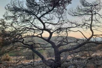 Οδοιπορικό στο Ποικίλο: Μεγάλη ζημιά... αλλά τη γλιτώσαμε! - Φωτογραφίες και βίντεο 25