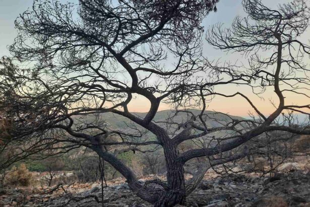 Οδοιπορικό στο Ποικίλο: Μεγάλη ζημιά... αλλά τη γλιτώσαμε! - Φωτογραφίες και βίντεο 99
