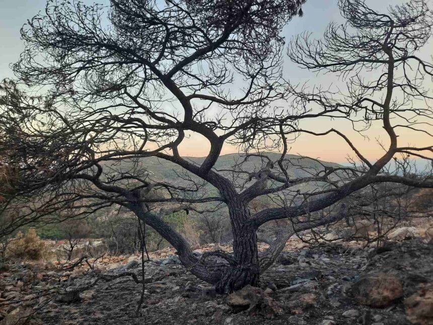 Οδοιπορικό στο Ποικίλο: Μεγάλη ζημιά... αλλά τη γλιτώσαμε! - Φωτογραφίες και βίντεο 15