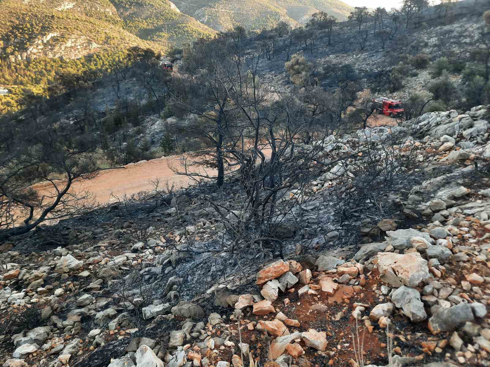 Οδοιπορικό στο Ποικίλο: Μεγάλη ζημιά... αλλά τη γλιτώσαμε! - Φωτογραφίες και βίντεο 14 Οδοιπορικό στο Ποικίλο: Μεγάλη ζημιά... αλλά τη γλιτώσαμε! - Φωτογραφίες και βίντεο 13