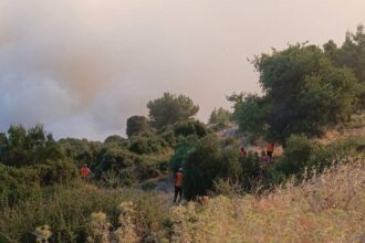 Ύστατη προσπάθεια του Δασαρχείου στον Άγιο Νεκτάριο Βιλίων, με μεγάλη αντιπυρική ζώνη - Βίντεο από την πρώτη γραμμή της μάχης 24