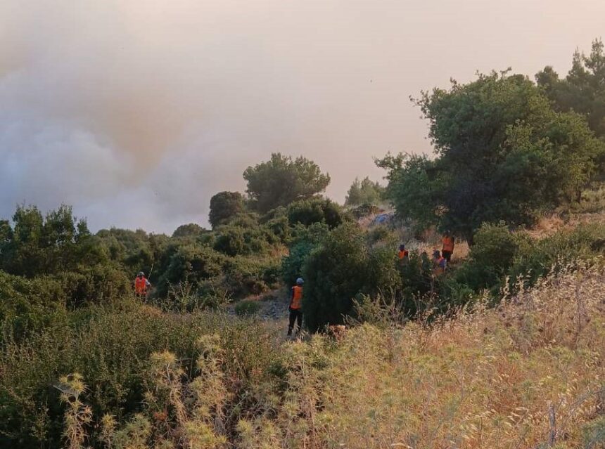 Ύστατη προσπάθεια του Δασαρχείου στον Άγιο Νεκτάριο Βιλίων, με μεγάλη αντιπυρική ζώνη - Βίντεο από την πρώτη γραμμή της μάχης 15