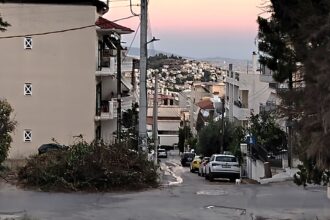 Κλάδεψαν άρον άρον τους κήπους μετά τη φωτιά και τώρα... ο κίνδυνος στους δρόμους 25