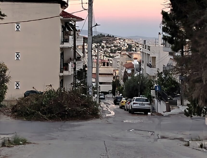 Κλάδεψαν άρον άρον τους κήπους μετά τη φωτιά και τώρα... ο κίνδυνος στους δρόμους 1