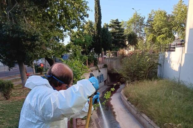 Καταπολέμηση κουνουπιών: Δράσεις σε εστίες στη Δυτική Αθήνα, στη "σκιά" του Ιού του Δυτικού Νείλου 3