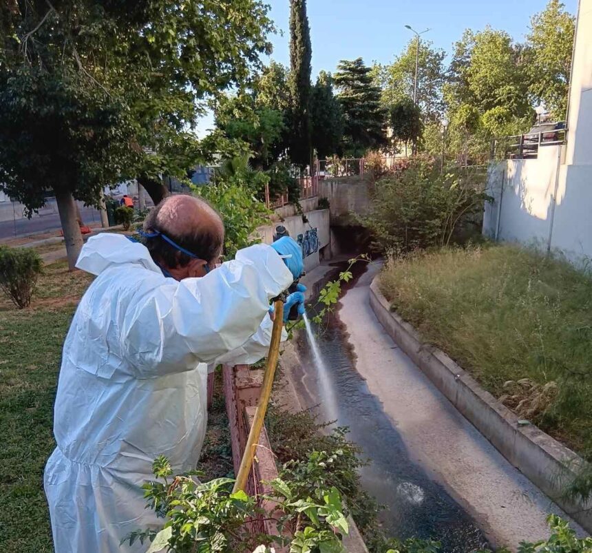 Καταπολέμηση κουνουπιών: Δράσεις σε εστίες στη Δυτική Αθήνα, στη "σκιά" του Ιού του Δυτικού Νείλου 15