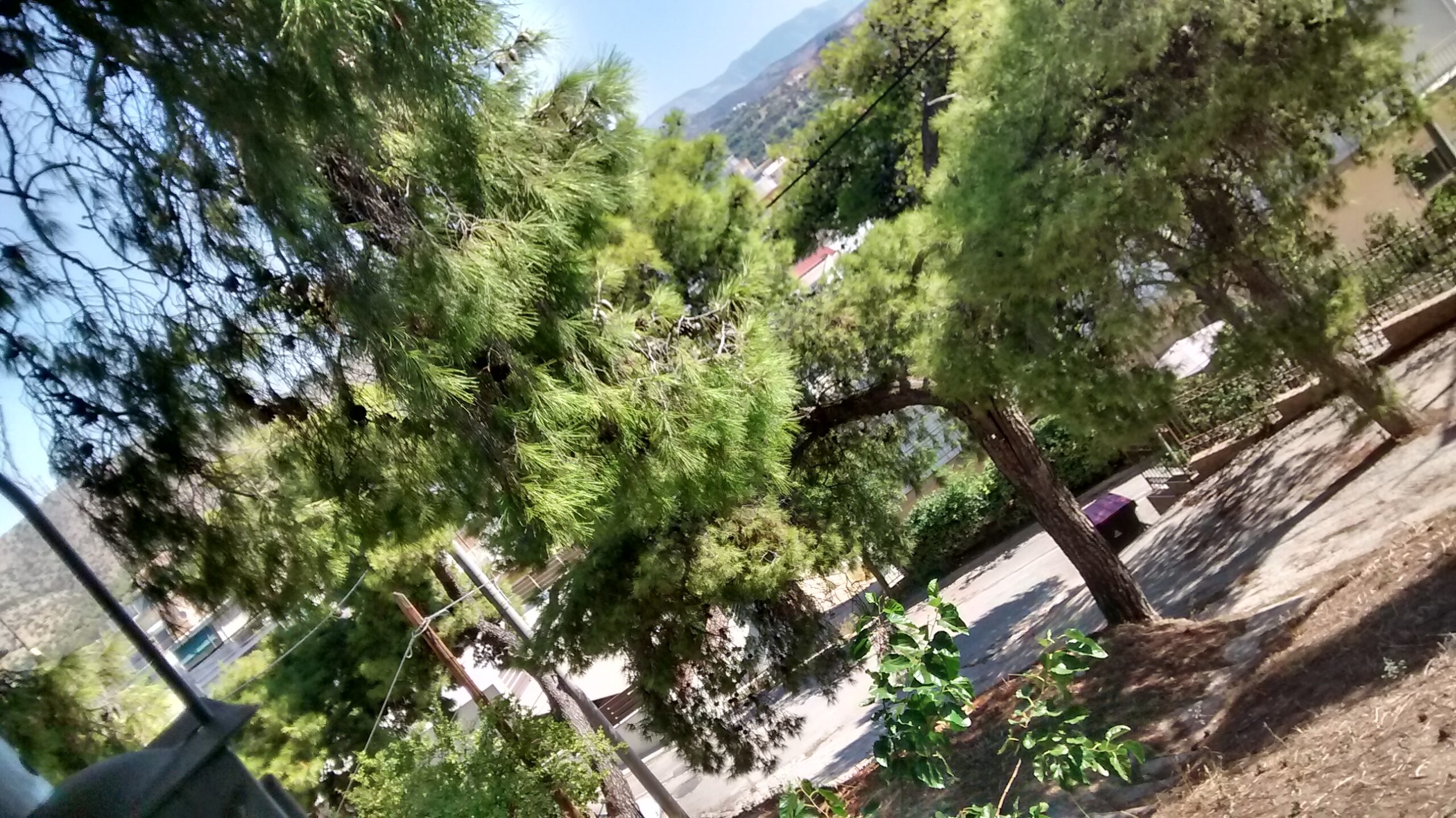 "Καίγεται ο Προφήτης Ηλίας; Μάλλον εύκολα, έτσι που είναι..." 6 "Καίγεται ο Προφήτης Ηλίας; Μάλλον εύκολα, έτσι που είναι..." 5