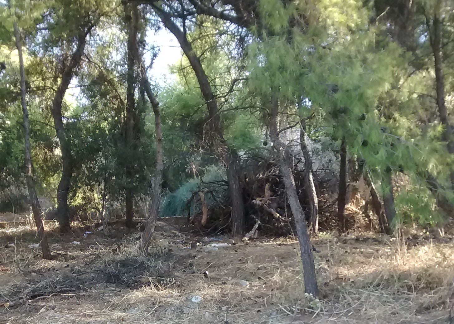 "Καίγεται ο Προφήτης Ηλίας; Μάλλον εύκολα, έτσι που είναι..." 4 "Καίγεται ο Προφήτης Ηλίας; Μάλλον εύκολα, έτσι που είναι..." 3