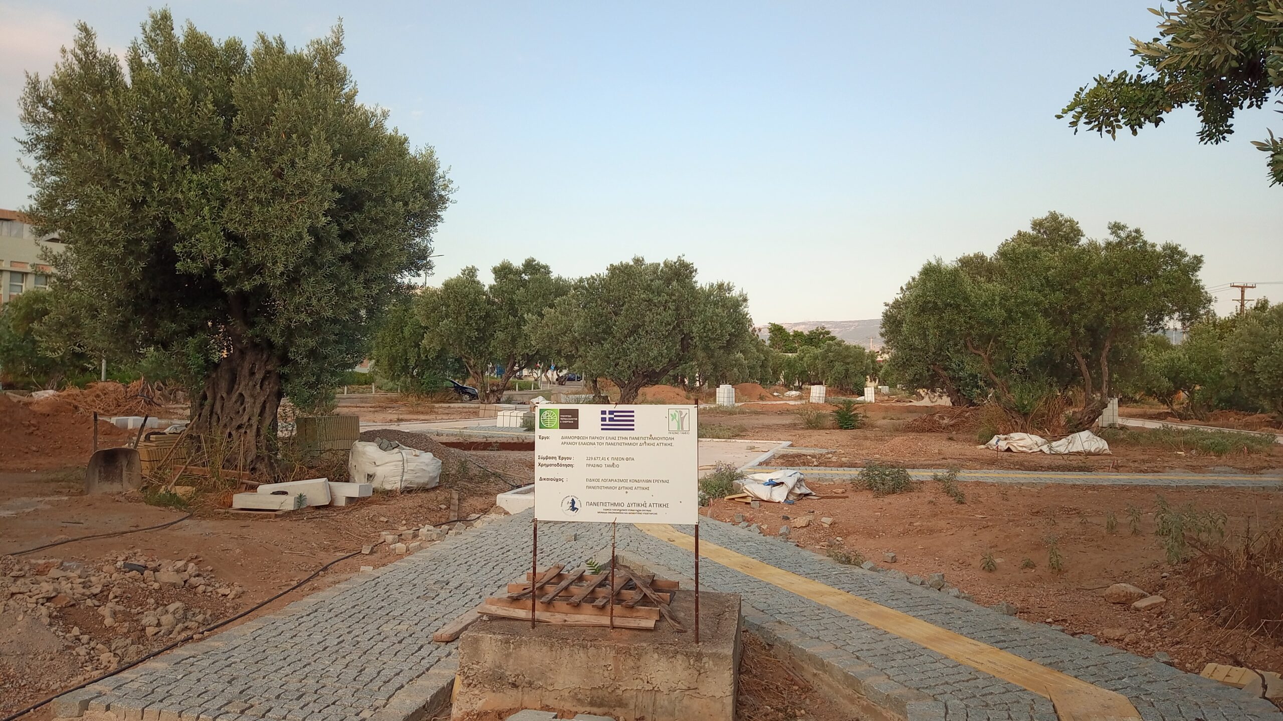 Το νέο "Πάρκο Ελιάς" στη Δυτική Αθήνα αναβιώνει τον αρχαίο αθηναϊκό Ελαιώνα - Συνέντευξη και βίντεο 4