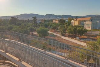Το νέο "Πάρκο Ελιάς" στη Δυτική Αθήνα αναβιώνει τον αρχαίο αθηναϊκό Ελαιώνα - Συνέντευξη 25