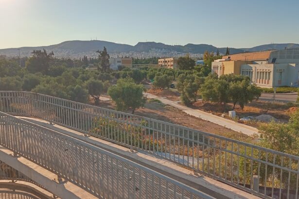 Το νέο "Πάρκο Ελιάς" στη Δυτική Αθήνα αναβιώνει τον Αρχαίο Ελαιώνα της Αθήνας - Συνέντευξη 95