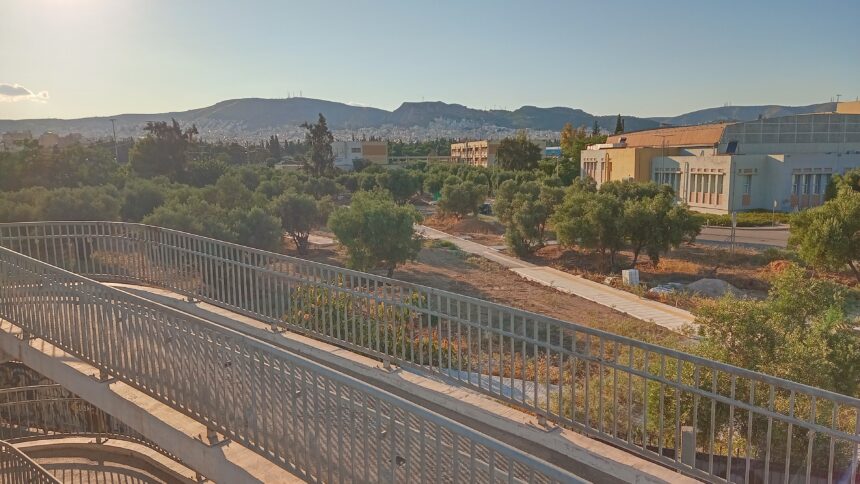 Το νέο "Πάρκο Ελιάς" στη Δυτική Αθήνα αναβιώνει τον Αρχαίο Ελαιώνα της Αθήνας - Συνέντευξη 15