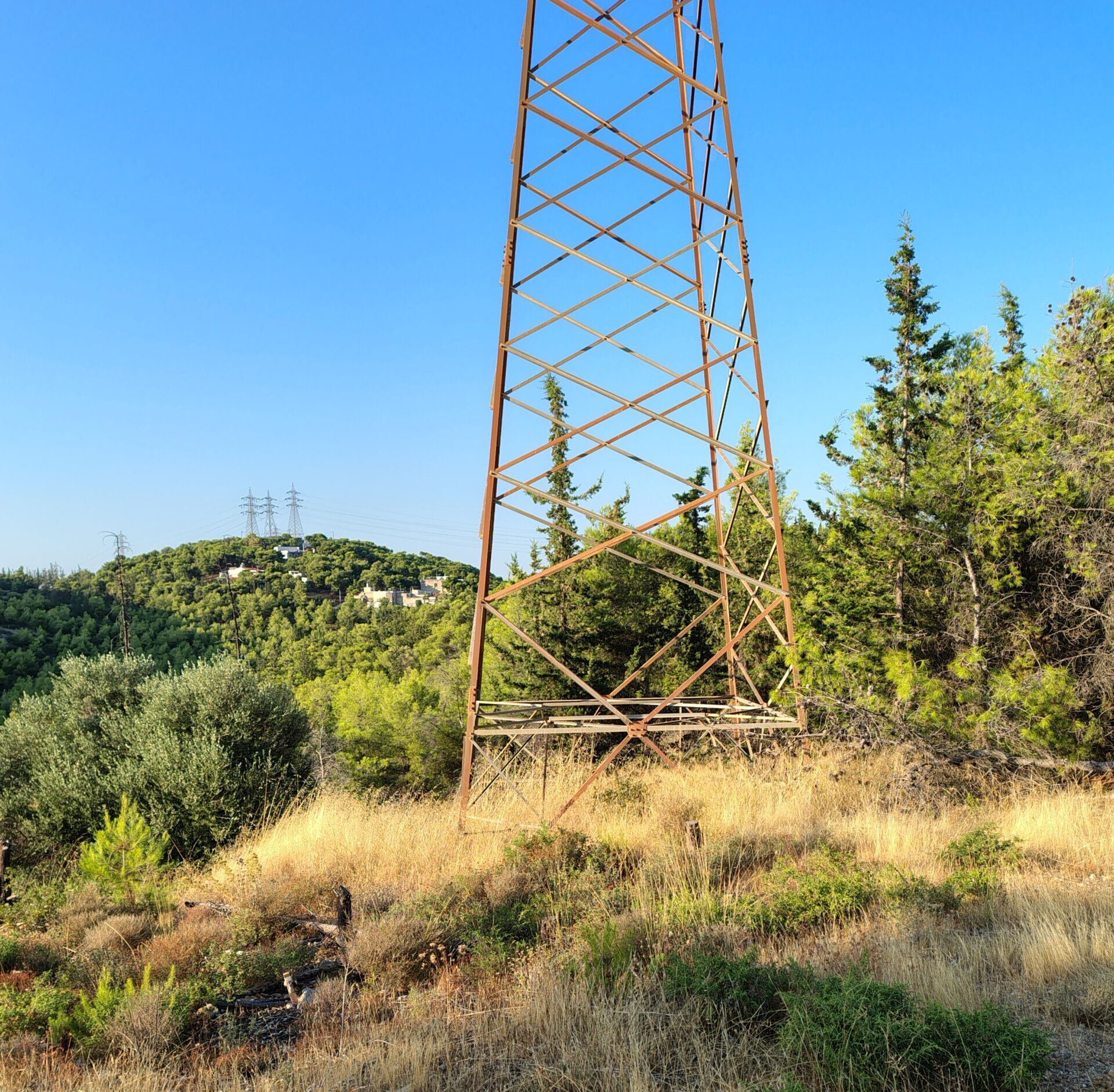 Σύλληψη 54χρονου για φωτιά στον Διομήδειο Κήπο - Τι συνέβη 3