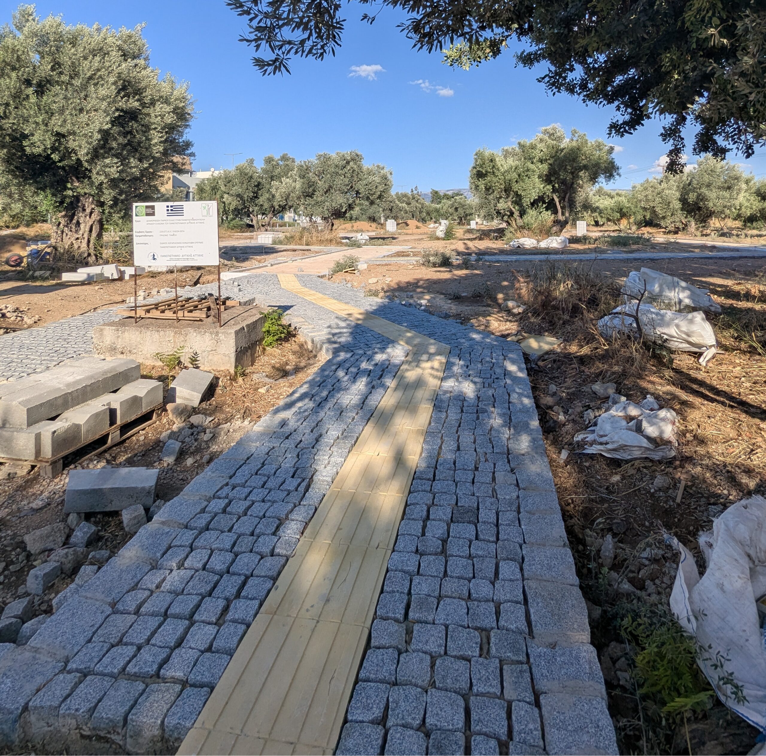 Το νέο "Πάρκο Ελιάς" στη Δυτική Αθήνα αναβιώνει τον αρχαίο αθηναϊκό Ελαιώνα - Συνέντευξη και βίντεο 8