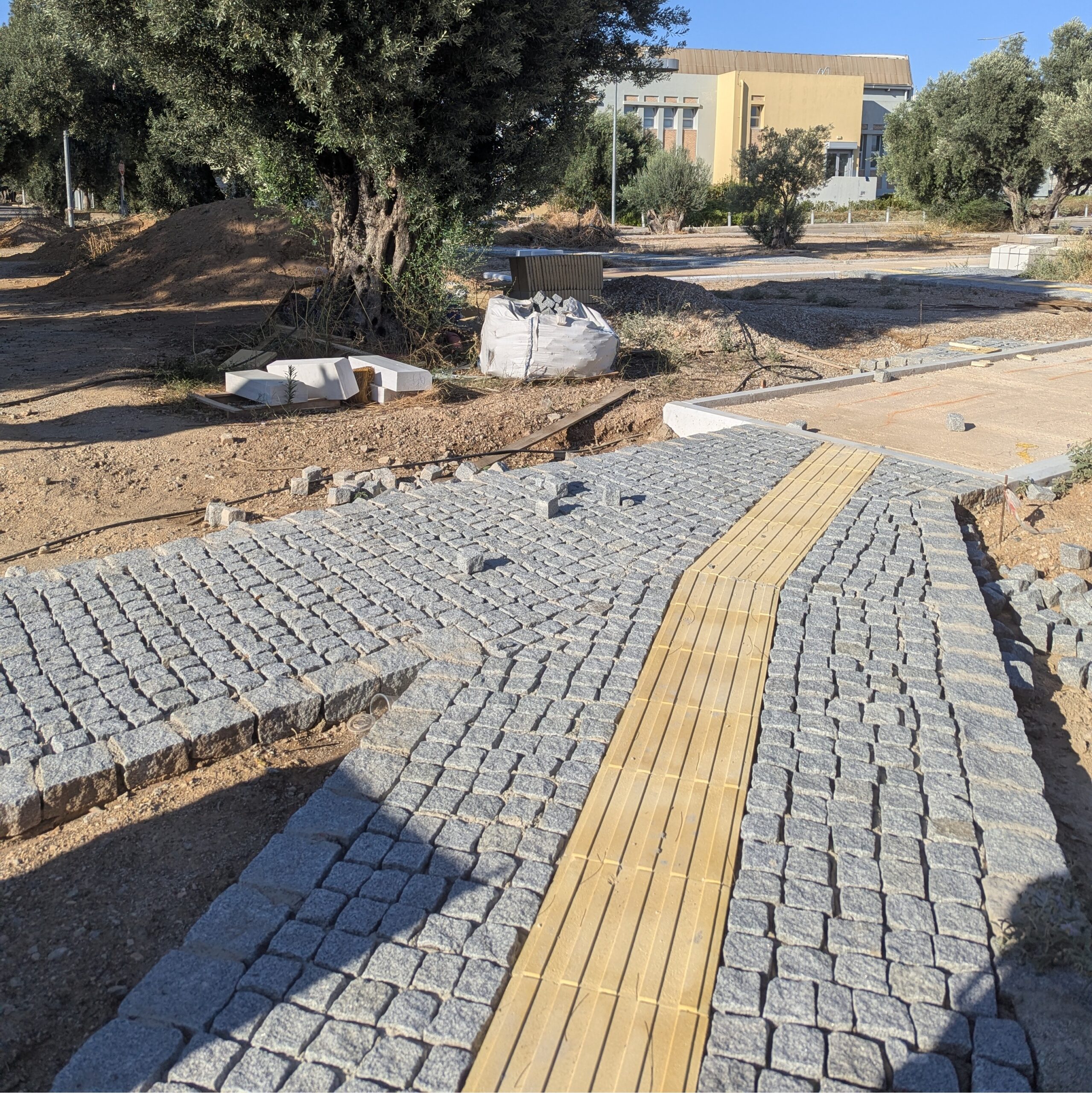 Το νέο "Πάρκο Ελιάς" στη Δυτική Αθήνα αναβιώνει τον αρχαίο αθηναϊκό Ελαιώνα - Συνέντευξη και βίντεο 10