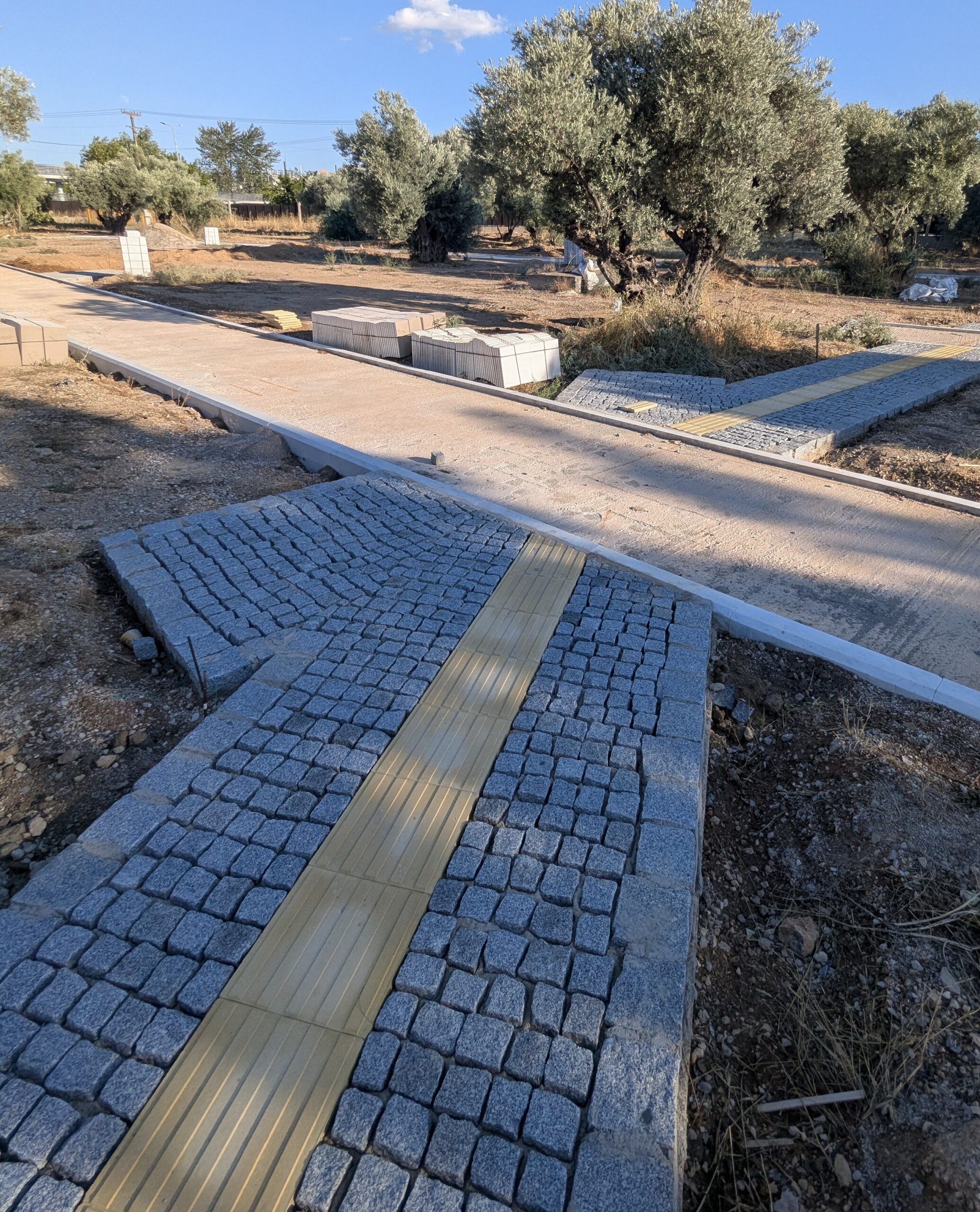 Το νέο "Πάρκο Ελιάς" στη Δυτική Αθήνα αναβιώνει τον αρχαίο αθηναϊκό Ελαιώνα - Συνέντευξη και βίντεο 12