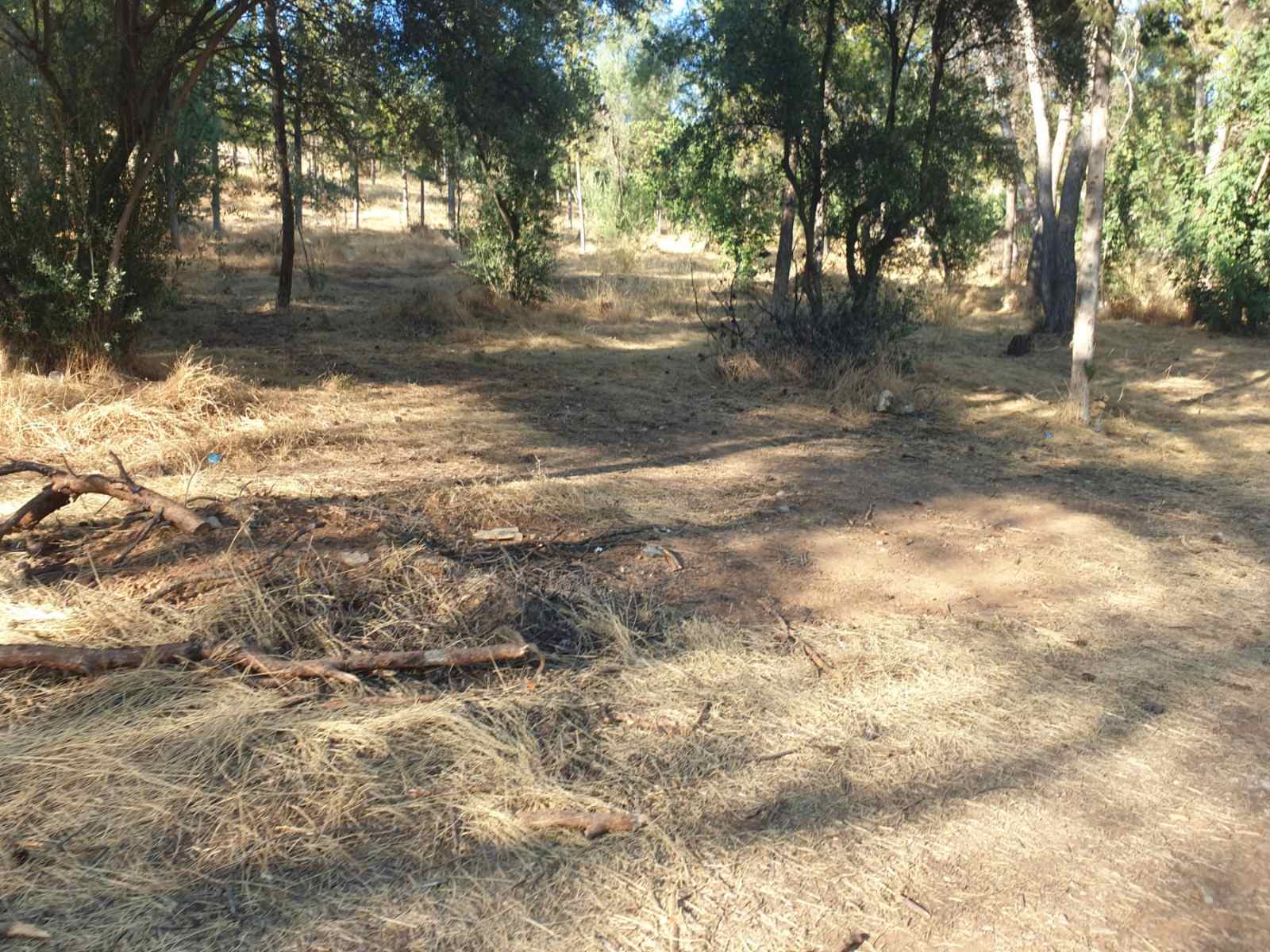 Ο Δήμος Χαϊδαρίου καθαρίζει το Άλσος Δαφνίου και καταγγέλλει 8 Ο Δήμος Χαϊδαρίου καθαρίζει το Άλσος Δαφνίου και καταγγέλλει 7