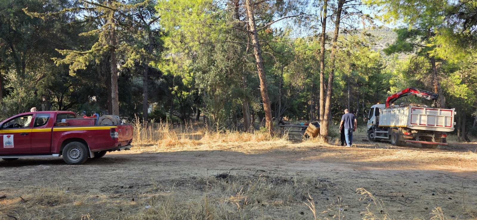 Ο Δήμος Χαϊδαρίου καθαρίζει το Άλσος Δαφνίου και καταγγέλλει 10 Ο Δήμος Χαϊδαρίου καθαρίζει το Άλσος Δαφνίου και καταγγέλλει 9