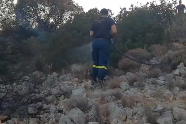 Ακόμη αντιμετωπίζει αναζωπυρώσεις η Πυροσβεστική στο Ποικίλο! - Βίντεο 99
