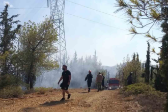 Σύλληψη 54χρονου για φωτιά στον Διομήδειο Κήπο - Τι συνέβη 36
