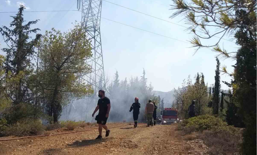 Σύλληψη 54χρονου για φωτιά στον Διομήδειο Κήπο - Τι συνέβη 15