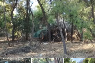 "Καίγεται ο Προφήτης Ηλίας; Μάλλον εύκολα, έτσι που είναι..." 33