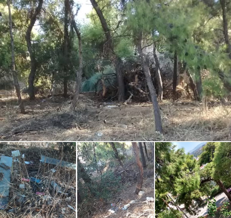 "Καίγεται ο Προφήτης Ηλίας; Μάλλον εύκολα, έτσι που είναι..." 15