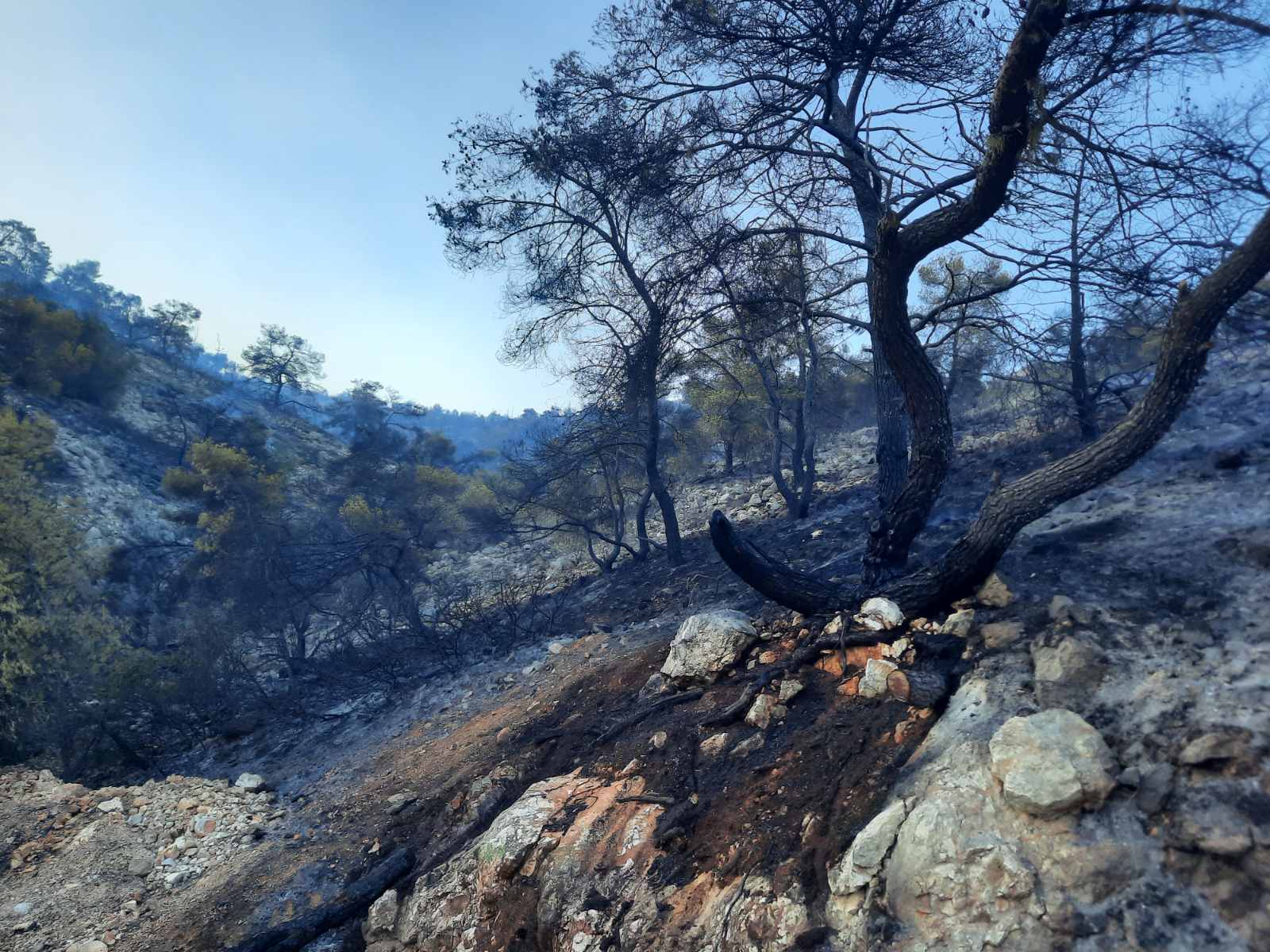 Το Ποικίλο που αγαπήσαμε... - Βίντεο και φωτογραφίες 3