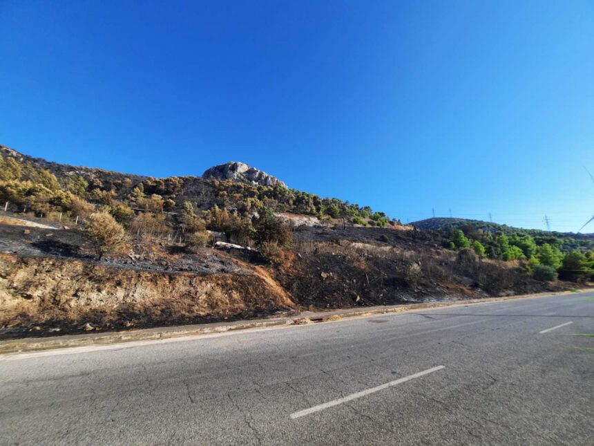 Αυτοψία στο Ποικίλο: Το σημείο από όπου ξεκίνησε η φωτιά 15