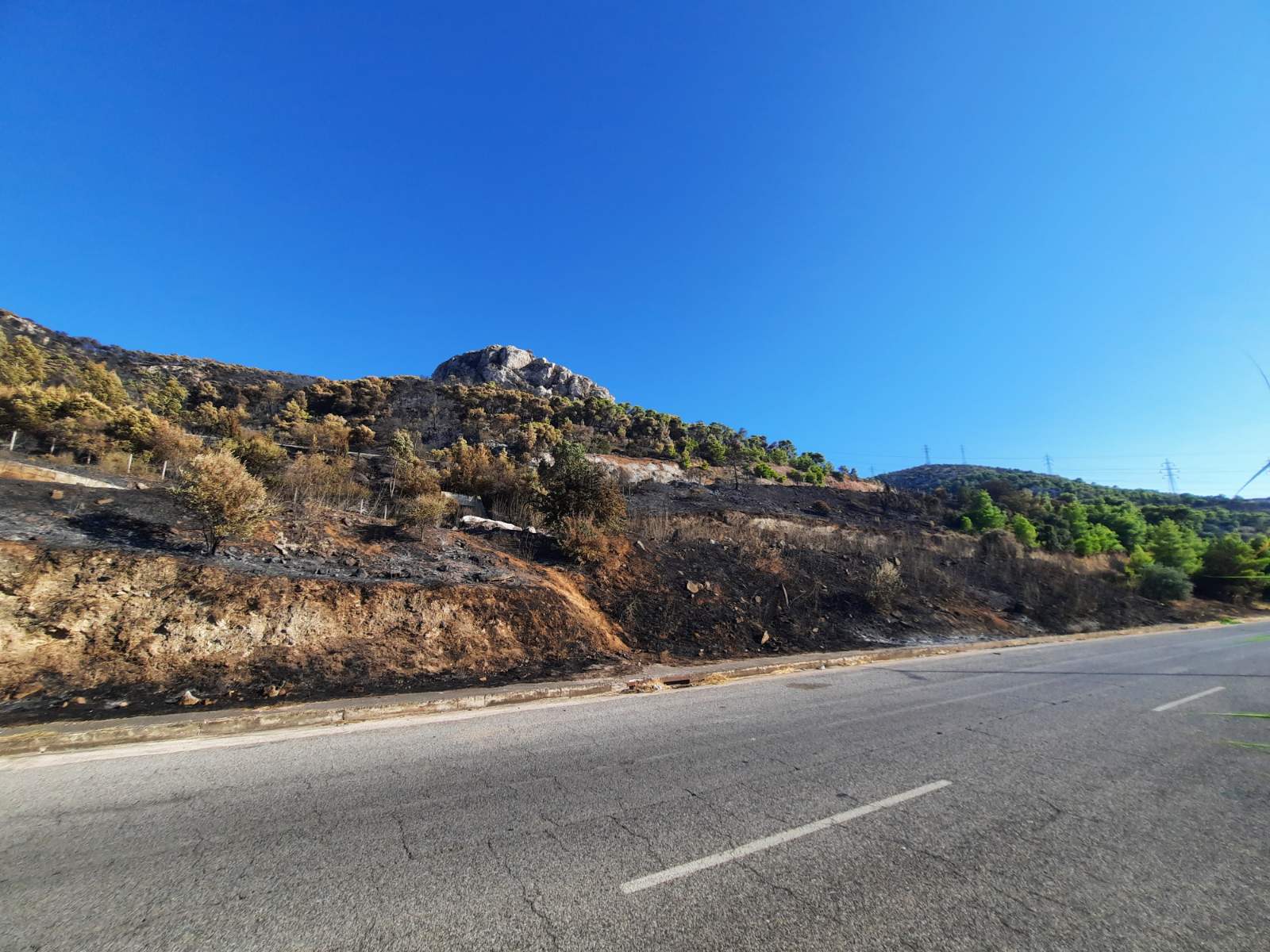 Αυτοψία στο Ποικίλο: Το σημείο από όπου ξεκίνησε η φωτιά 7